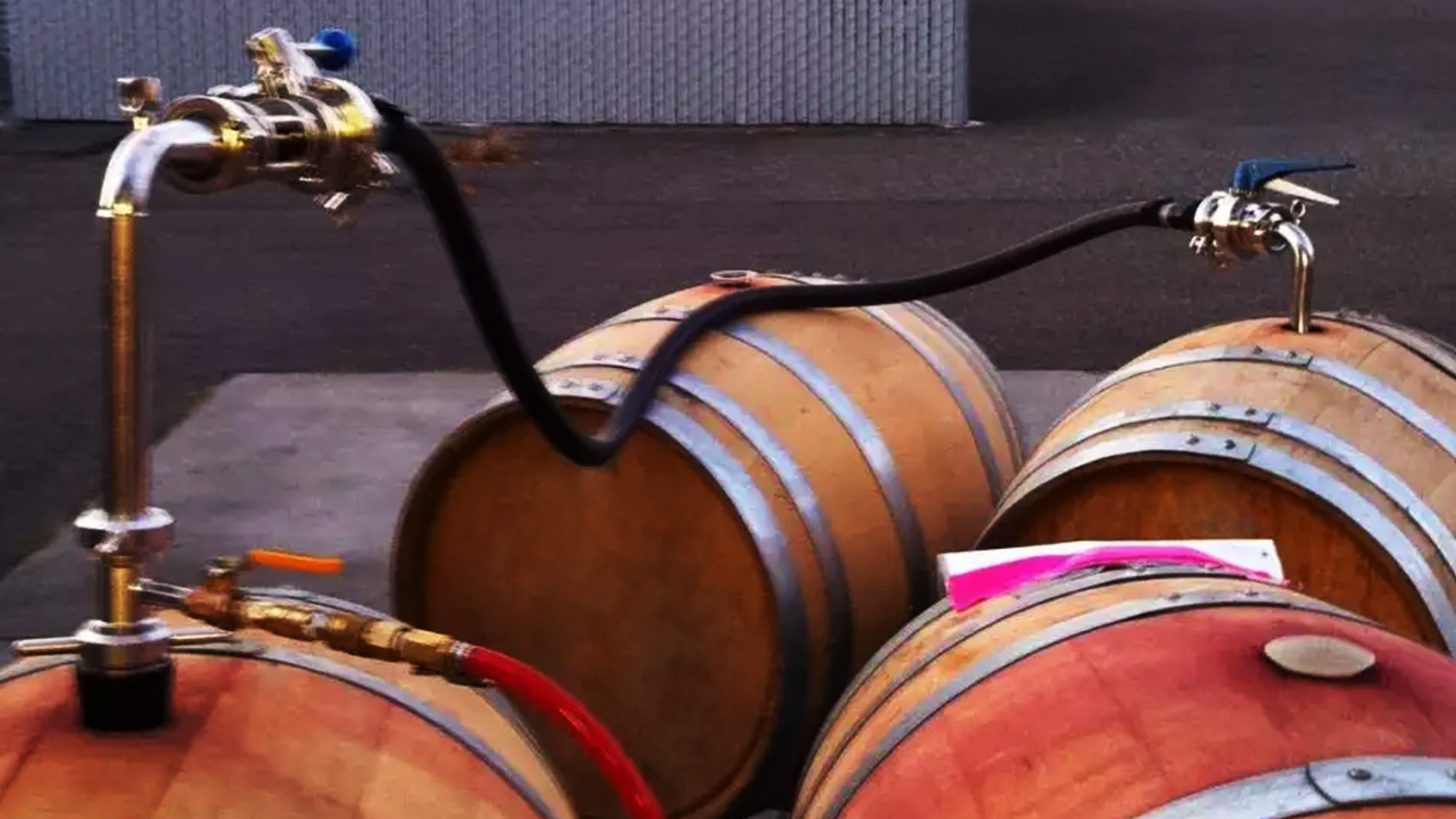 Red winemaking process FRODOER DRINKS ACADEMY